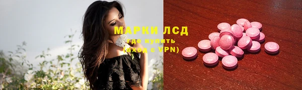 apvp Верея