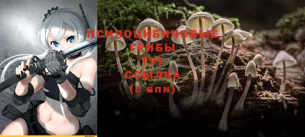 тгк Верхнеуральск