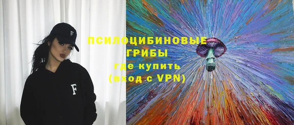 apvp Верея
