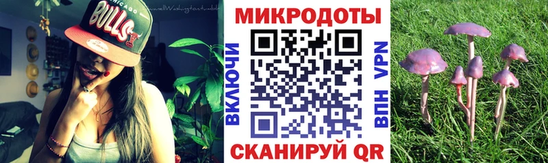 Псилоцибиновые грибы Cubensis  хочу наркоту  Гаврилов-Ям 
